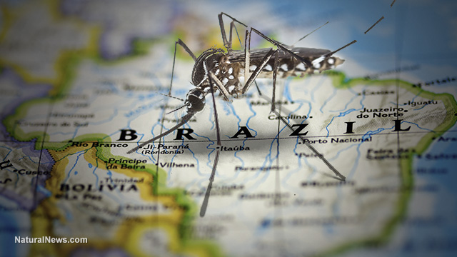ZIKA DOOMSDAY HOAX UNRAVELS: Predicted ‘explosion’ of brain defects didn’t happen… entire scare campaign was manufactured